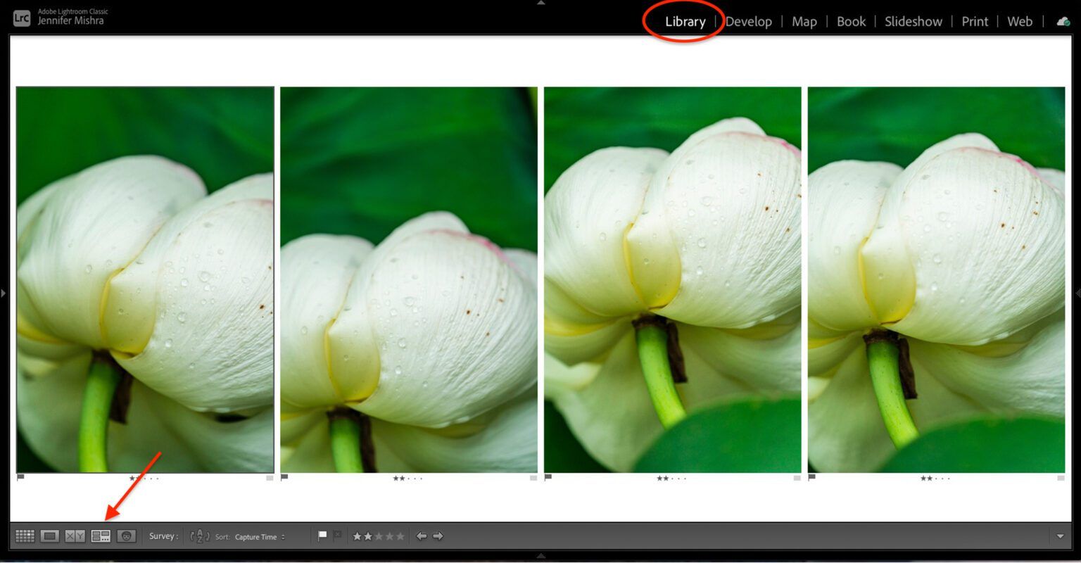 The Art of Culling Photos: Speeding up Your Process | Photzy