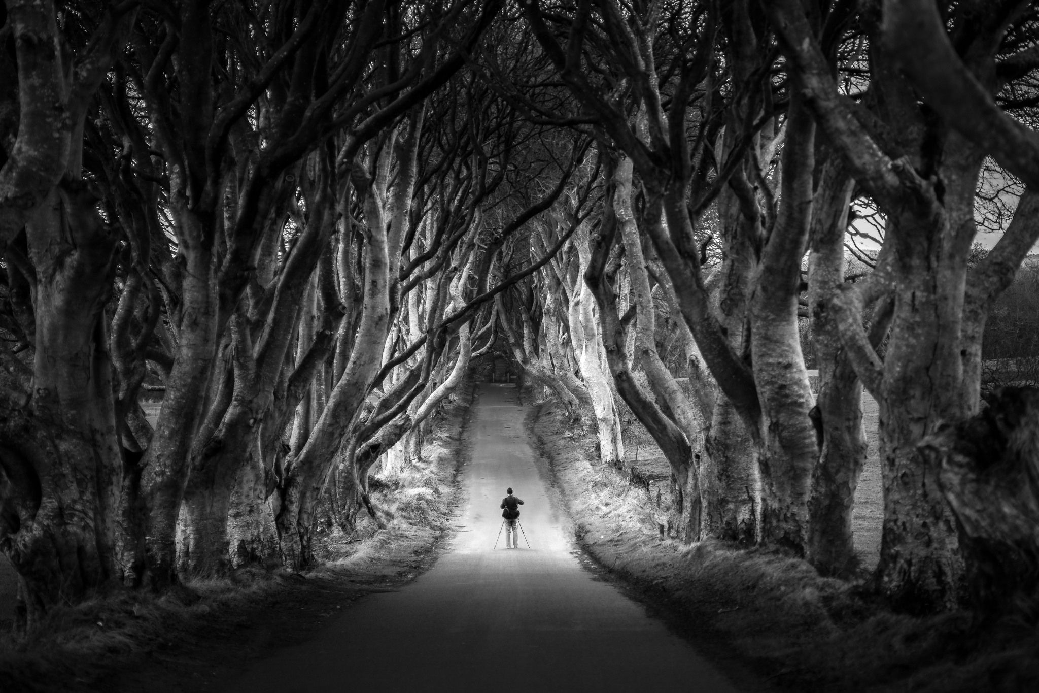 15 Amazing Black & White Landscape Photos That Will Leave You in Awe | Photzy