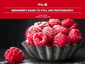 Beginner's Guide to Still Life Photography - Free Quick Guide
