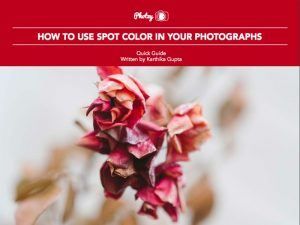 How to Use Spot Color in Your Photographs
