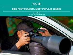 Bird Photography: Most Popular Lenses - Free Quick Guide