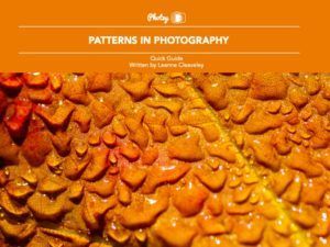 Patterns in Photography - Free Quick Guide