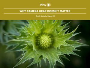 Why Camera Gear Doesn't Matter - Free Quick Guide