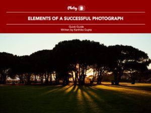 Elements of a Successful Photograph - Free Quick Guide