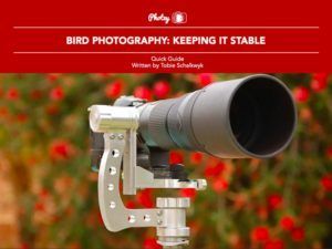 Bird Photography: Keeping It Stable - Free Quick Guide