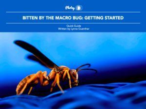 Bitten by the Macro Bug:  Getting Started - Free Quick Guide
