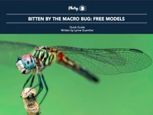 Bitten by the Macro Bug: Free Models - Free Quick Guide