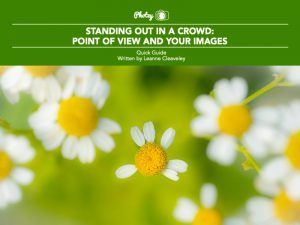 Standing Out in a Crowd: Point of View and Your Images - Free Quick Guide
