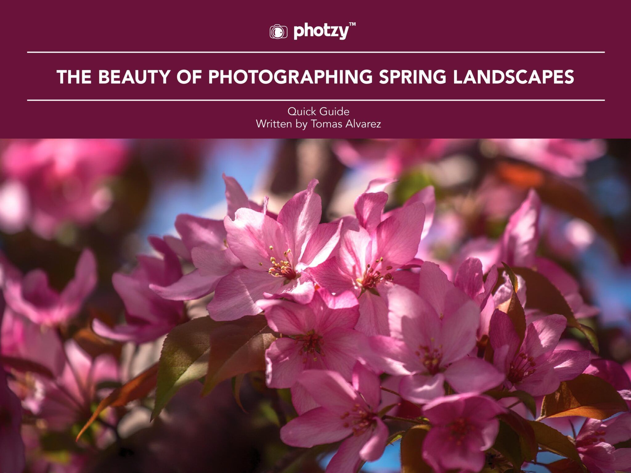 The Beauty of Photographing Spring Landscapes - Free Quick Guide | Photzy