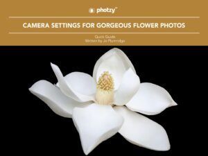 Camera Settings for Gorgeous Flower Photos - Free Quick Guide