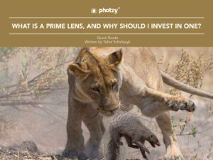 What Is a Prime Lens, and Why Should I Invest in One? - Free Quick Guide