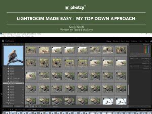 Lightroom Made Easy: My Top-Down Approach - Free Quick Guide