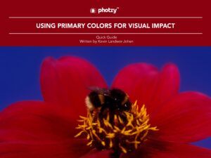Using Primary Colors for Visual Impact - Free Quick Guide
