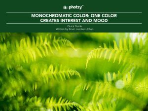 Monochromatic Color: One Color Creates Interest and Mood - Free Quick Guide