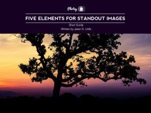 FREE Guide – 5 Elements for Standout Images