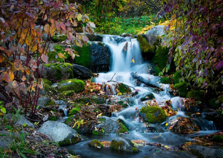 Creating Your Best Autumn Landscape Photographs | Photzy