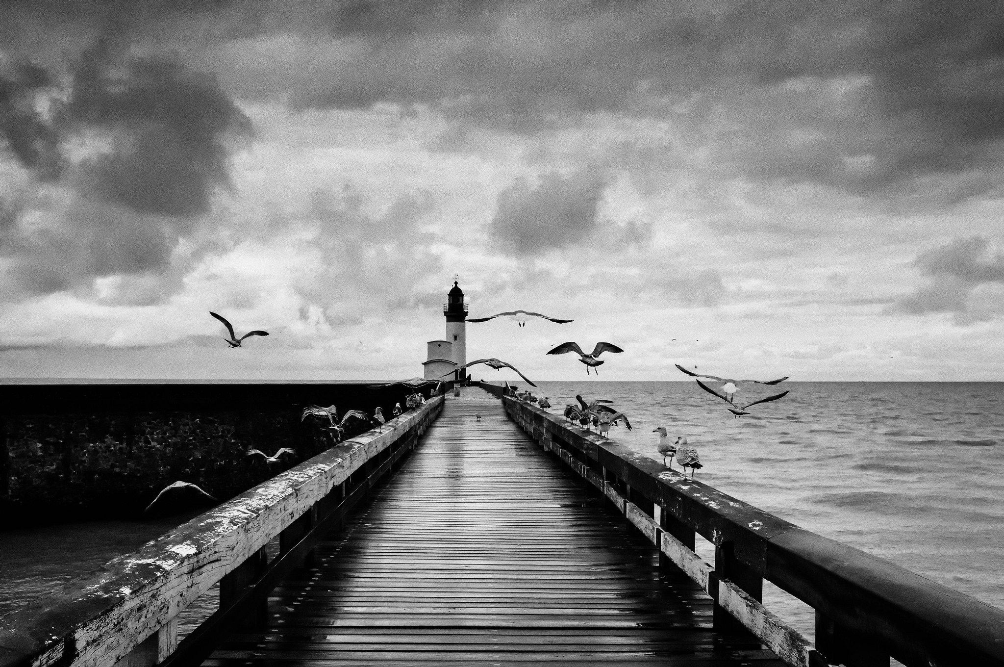 15 Amazing Black & White Landscape Photos That Will Leave You In Awe ...