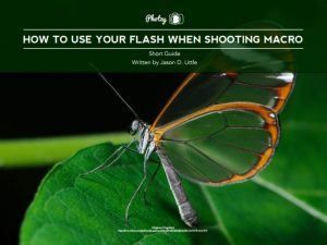 FREE Guide – How to Use Your Flash when Shooting Macro