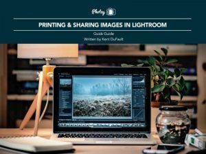 Printing and Sharing In Lightroom - Free Quick Guide