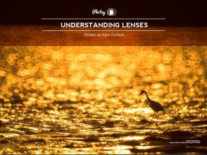 FREE Guide – Understanding Lenses