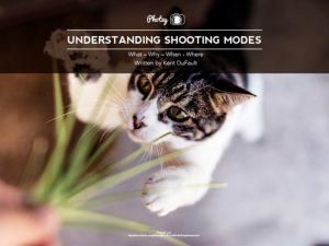 FREE Guide – Understanding Shooting Modes