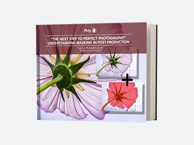 𝗨𝗻𝗱𝗲𝗿𝘀𝘁𝗮𝗻𝗱𝗶𝗻𝗴 𝗠𝗮𝘀𝗸𝗶𝗻𝗴 𝗚𝘂𝗶𝗱𝗲: Create perfect photographs by learning this simple technique! 172 Pages • 128 Example Images • 33 Key-Lessons • 1 Cheat Sheet • 1 Video Tutorials ($60 Value)