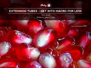 FREE Guide – Using Extension Tubes to Get Started in Macro for Less