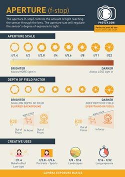 Get Your Free Aperture Cheat Sheet Right Here | Photzy